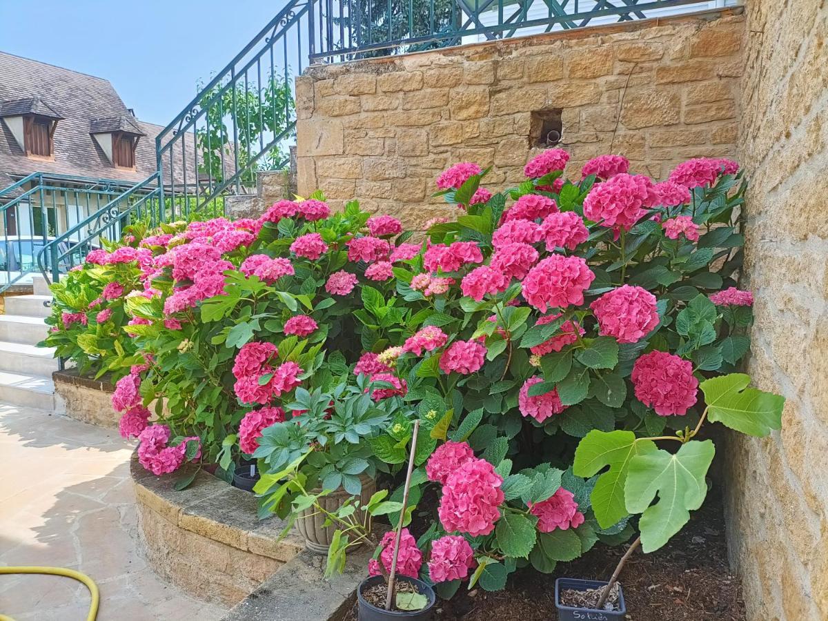 La Villa Perigourdine Sarlat-la-Caneda Exterior photo